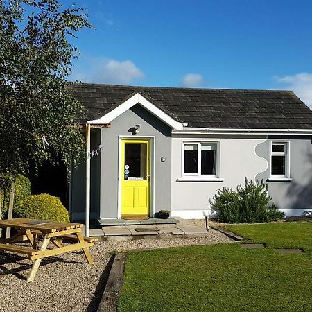 Hilltop Seaview Apartment Wicklow Dış mekan fotoğraf